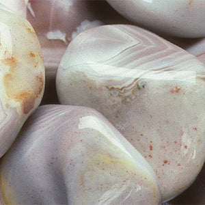 Cream Agate